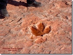 Dinasaur Tracks3[1]