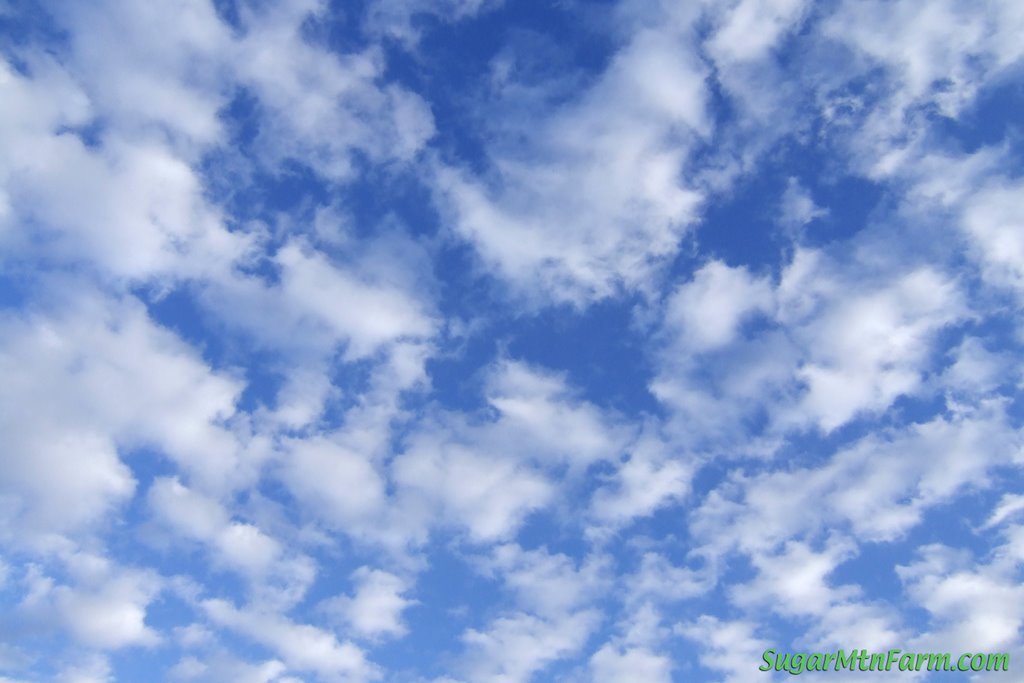  sky and clouds,,,,well both 