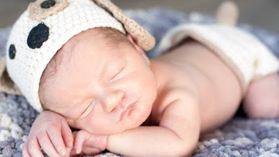 Sleeping Newborn Baby Henry with Puppy Baby Hat