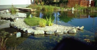 Rin Robyn Pools - Swimming Pool Design and Construction Company NJ: The Greening of the Swimming 
