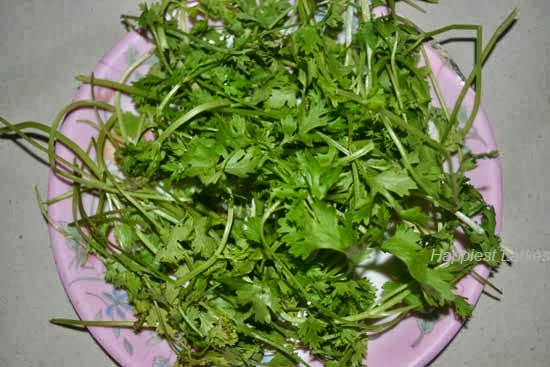 Corriander-Leaves-+-South-Indian-dishes