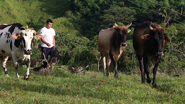 Campesinos y pescadores acuerdan incrementar producción de alimentos