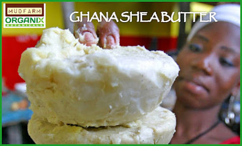 BRAMPTON SHEA BUTTER