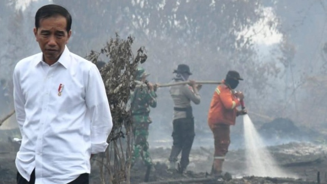 MA Menangkan Jokowi, Pemerintah Lolos dari Vonis Melawan Hukum Karhutla, Kok Bisa? 