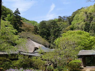  浄智寺