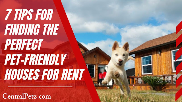 Pet-Friendly Houses for Rent