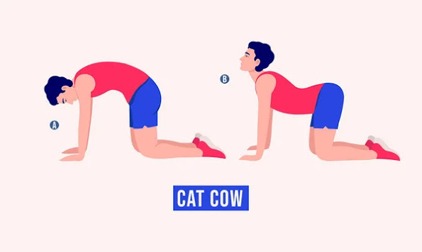 Cartoon of a man doing Cat-cow pose