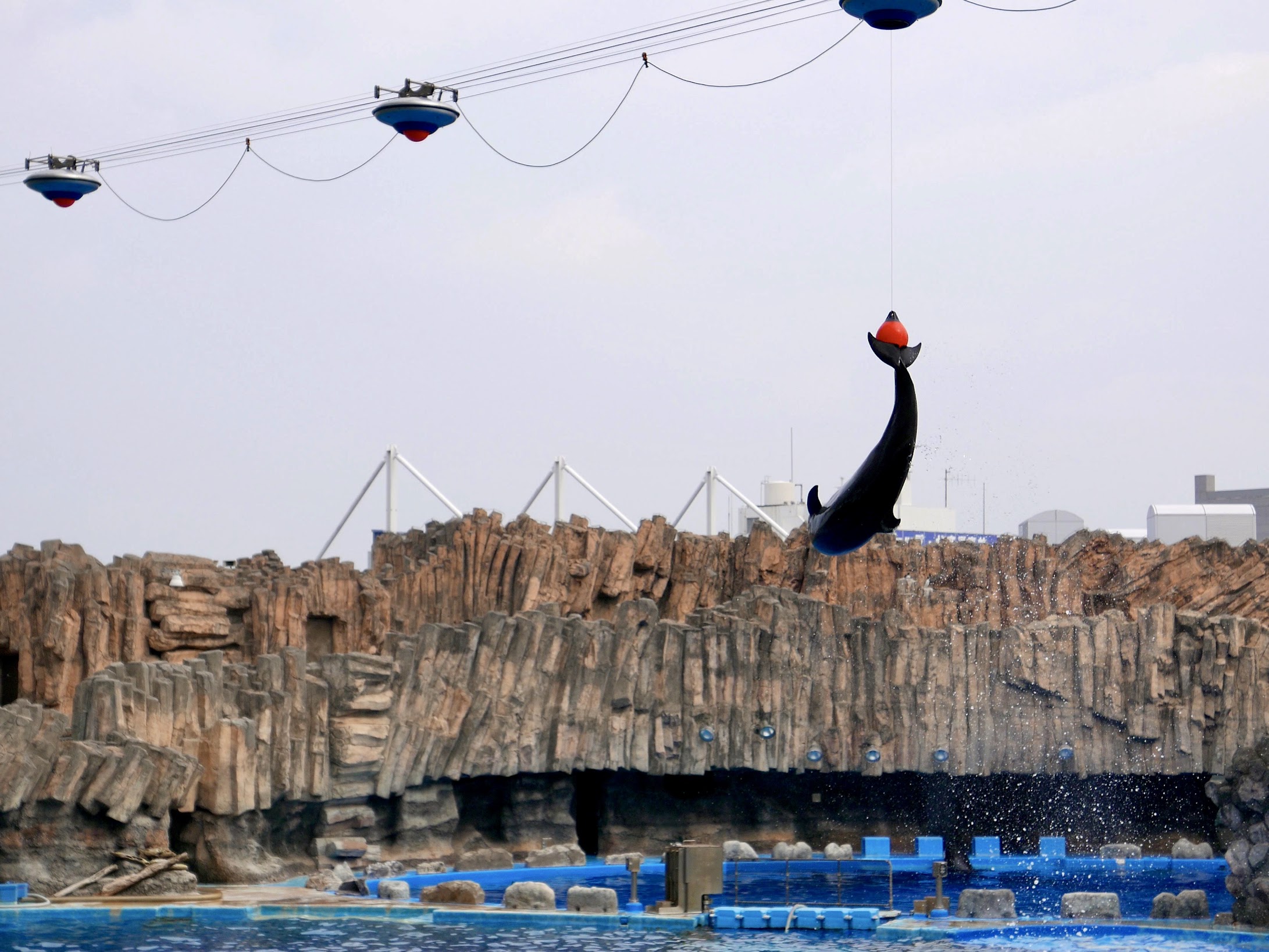名古屋港水族館