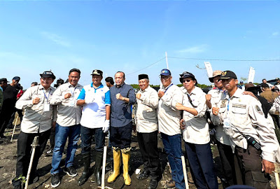 Hari Mangrove Sedunia, Himpunan Alumni Fakultas Kehutanan IPB Tanam Mangrove di pantai Indramayu