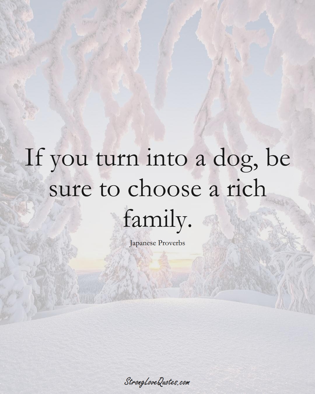 If you turn into a dog, be sure to choose a rich family. (Japanese Sayings);  #AsianSayings