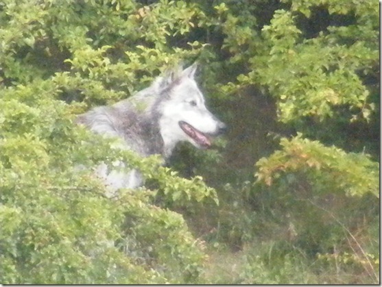 DSCF0238
