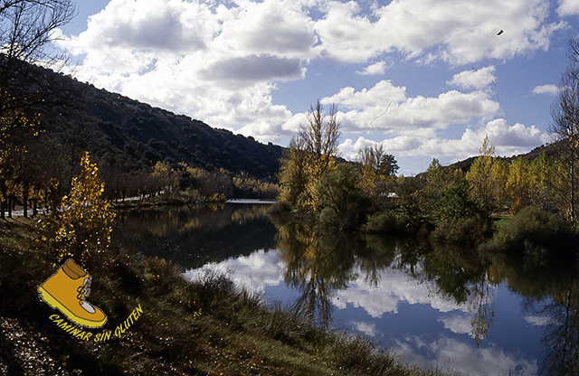 Otoño en el río Duero a su paso por Soria