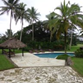 View album