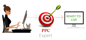 PPC Expert In Delhi