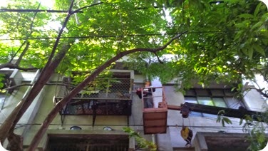 IMAG3322
