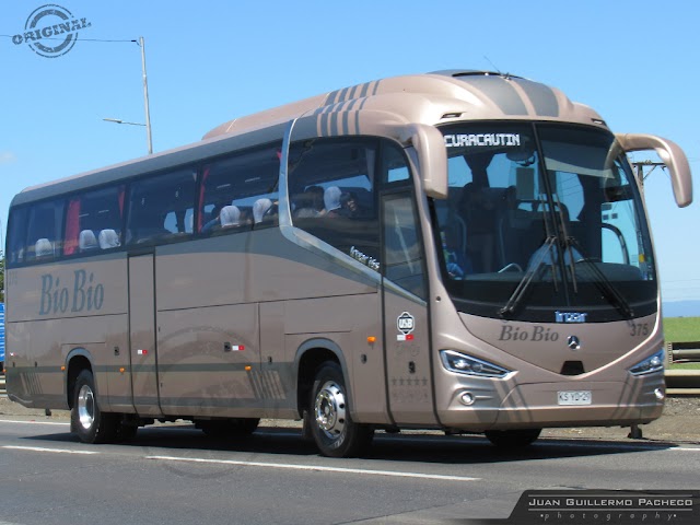 » Buses Bio Bio (Salon Clasico) | N° 375