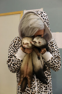 frettinäyttely+wcwfs+ferret+show