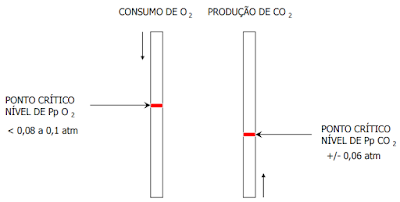 mergulho em apneia , curso de mergulho, Roupas de Mergulho, sub shop