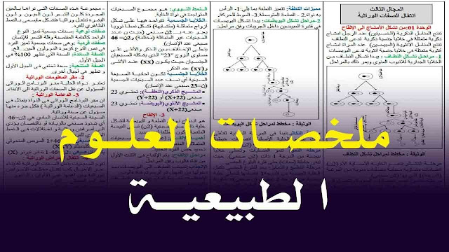 تحميل ملخصات العلوم الطبيعية للسنة الرابعة متوسط