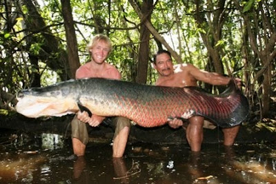 Peces Raros, Peces Gigantes, Pesca en Bote, fotos, imágenes, Giant Fish