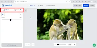 Menghilangkan Objek di Foto Online Gratis Melalui snapedit.app