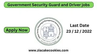 New-Government-Jobs-Security-Guard-and-Driver