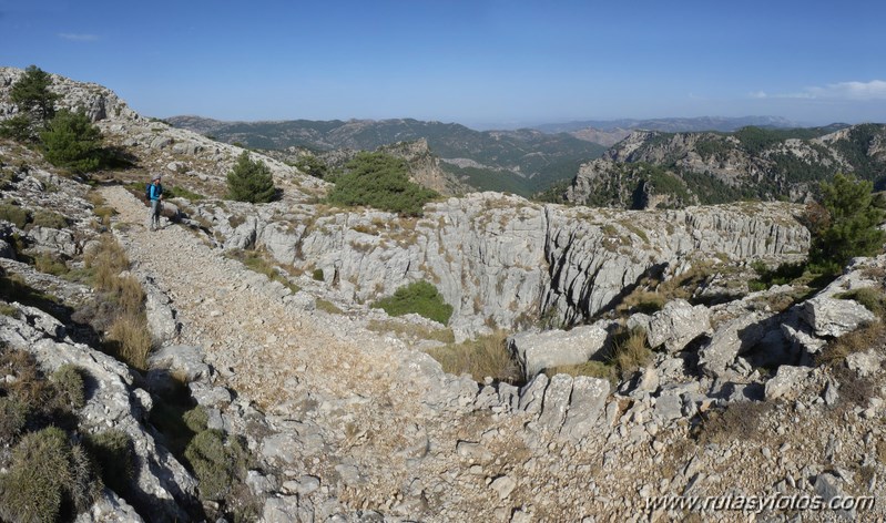 Pico Cabañas