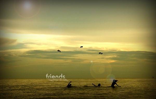 friends