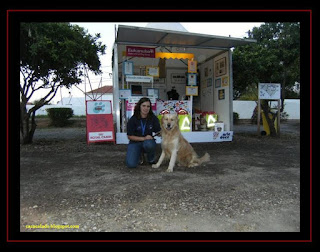 Pastor Australiano e Golden Retriever na Feira do Doce em Lagos