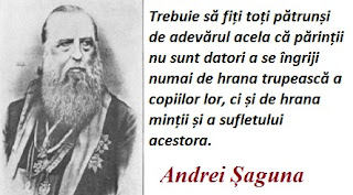 Maxima zilei: 20 decembrie - Andrei Șaguna