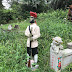 Balade au Bukit Brown Cemetery