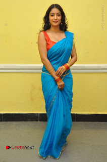 Telugu Actress Vaibhavi Stills in Blue Saree at Www.Meena Bazaar Movie Opening  0103.JPG