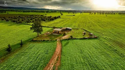 شاهد طبيعة الخضراء فى مدينة المرج شرق ليبياSee the green nature in the city of Marj, eastern Libya