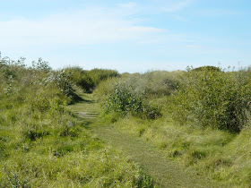 Ainsdale Sandhills Nature Reserve