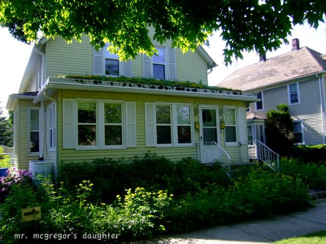 A Residential Green Roof and Raingarden