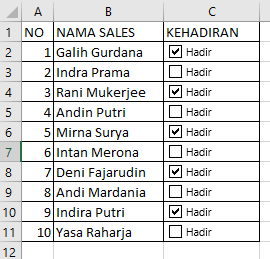 Cara Membuat Checkbox di Ms. Office Excel