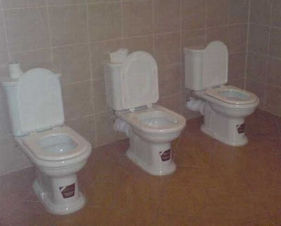 unusual toilets