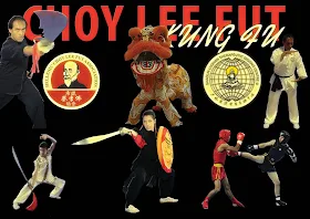 Ξεκινούν τα μαθήματα Κουνγ φου από τον Αθλητικό Σύλλογο Choy lee Fut Ναυπλίου