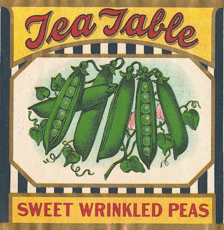 sisters warehouse vintage vegetable labels