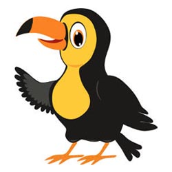 Toucan Bird Illustration vector