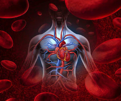 https://www.dropbox.com/s/qxft5f5qdlqlx8m/CARDIOVASCULAR%20Arias%20A-%20C.pdf?dl=0