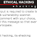 Web Vulnerability Scanner