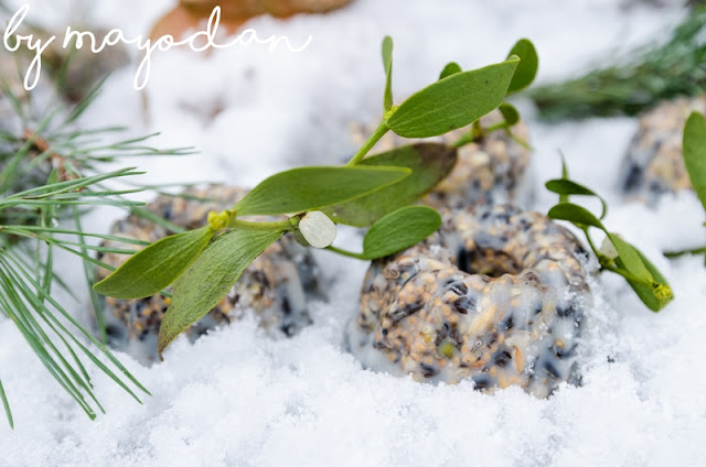 Winterfutter für Vögel