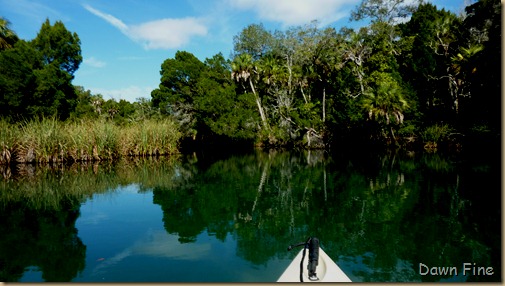 Chassahowitza River canoeing_111