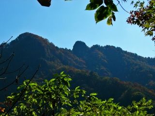 P1040293