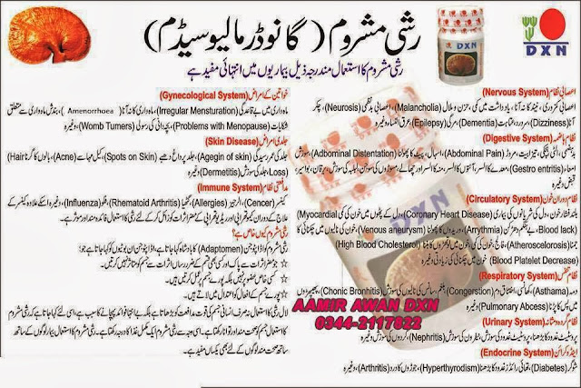 Reishi Mushroom Powder Urdu