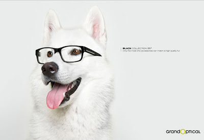 Visual Insights: 30 Funny Creative Animal Ads