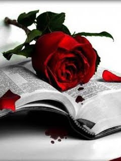 Red rose on the black and white book