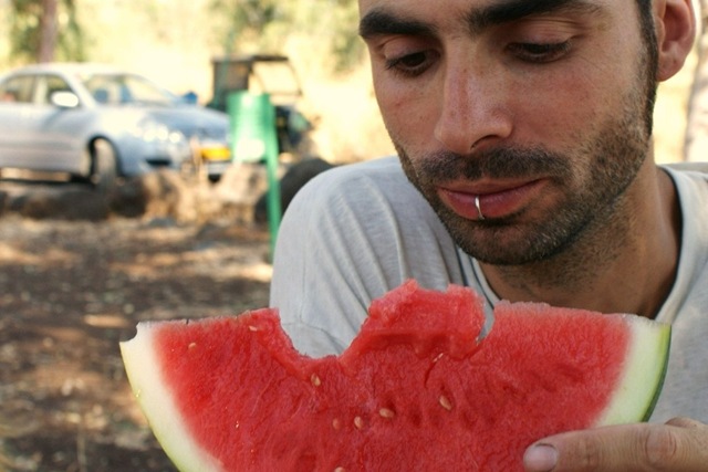 vattenmelon