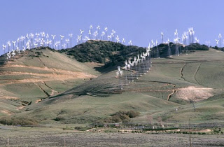 Tehachapi Pass Wind Farm Image
